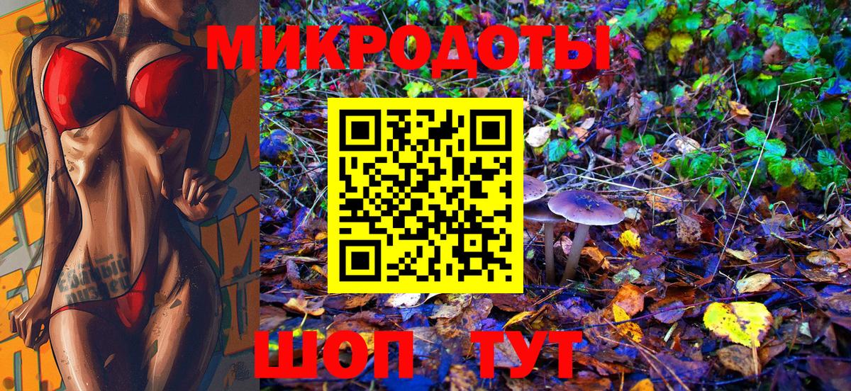 МЕФ Тайшет