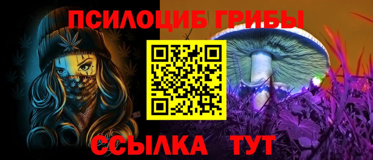Псилоцибиновые грибы Cubensis Тайшет